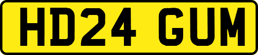 HD24GUM