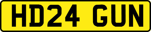 HD24GUN