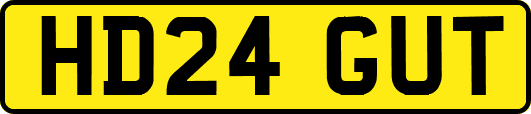 HD24GUT