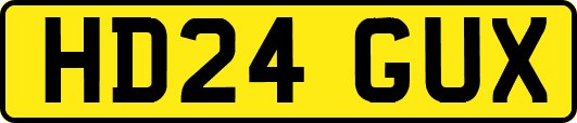 HD24GUX