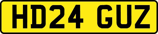 HD24GUZ