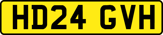 HD24GVH