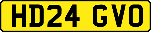 HD24GVO