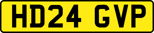 HD24GVP
