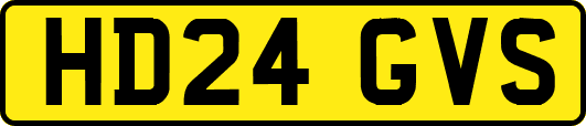 HD24GVS