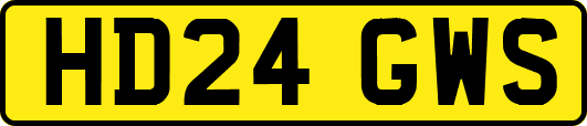 HD24GWS