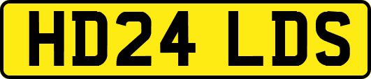 HD24LDS