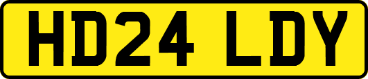 HD24LDY