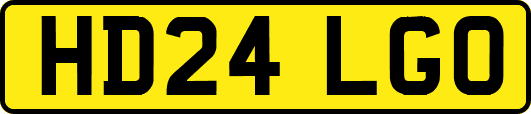 HD24LGO