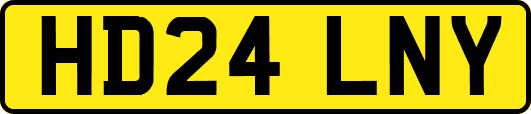 HD24LNY