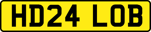 HD24LOB