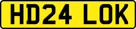 HD24LOK