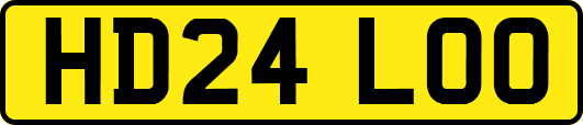 HD24LOO