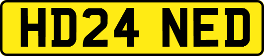 HD24NED
