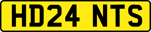 HD24NTS