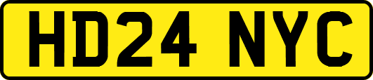 HD24NYC