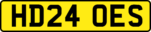 HD24OES