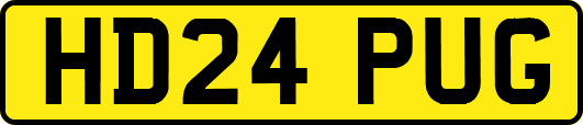 HD24PUG