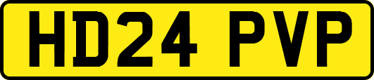 HD24PVP