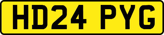HD24PYG