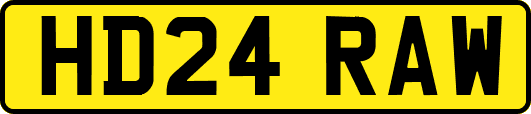 HD24RAW