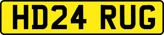HD24RUG