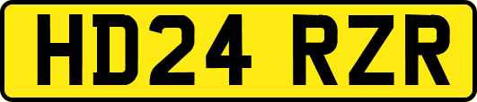 HD24RZR