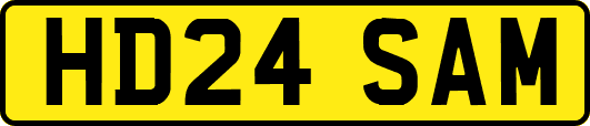HD24SAM