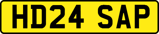 HD24SAP