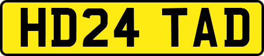 HD24TAD
