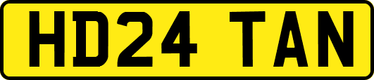 HD24TAN