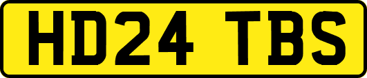HD24TBS