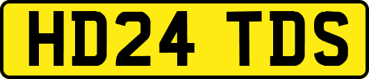 HD24TDS