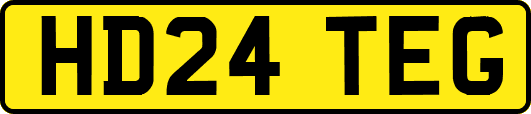 HD24TEG