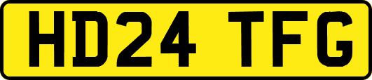 HD24TFG