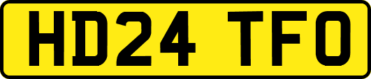 HD24TFO
