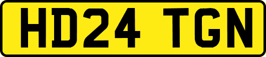 HD24TGN