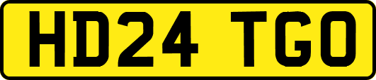 HD24TGO