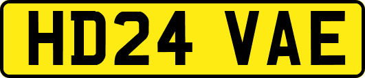 HD24VAE