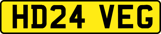 HD24VEG