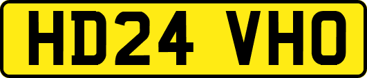 HD24VHO