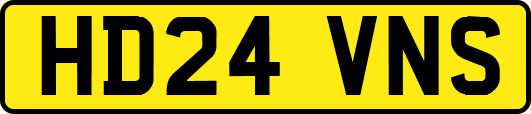 HD24VNS