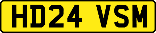 HD24VSM
