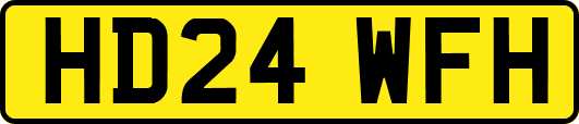 HD24WFH