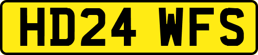 HD24WFS