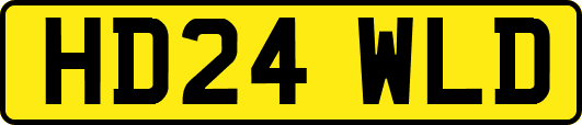 HD24WLD