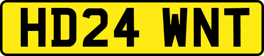 HD24WNT