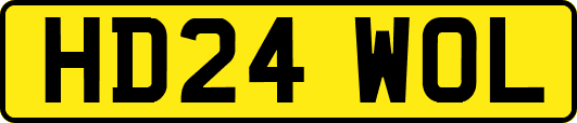 HD24WOL