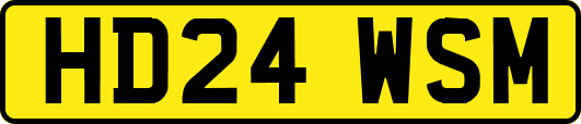 HD24WSM