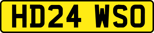 HD24WSO